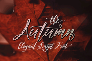 Autumn Font: A Modern Calligraphy Review for Editorial Design