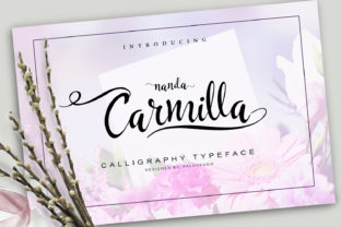 Carmilla Font: Elevating Campaign Visuals with Modern Script