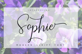 Elevate Your Craft with Sophie: A Charming Calligraphy Font
