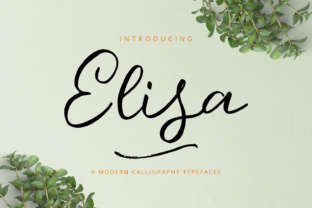 Elisa: A Playful and Modern Font for Creative Branding