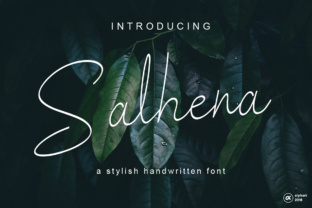 Enhance Your Web Design with Salhena Font