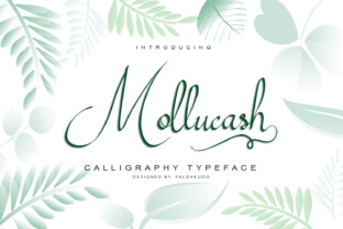 Mollucash: A Hand-Drawn Calligraphy Font for Elegant Branding