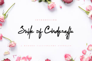 Smile of Cinderella Font for Elegant Craft Projects